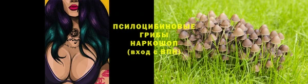 ПСИЛОЦИБИНОВЫЕ ГРИБЫ Семёнов