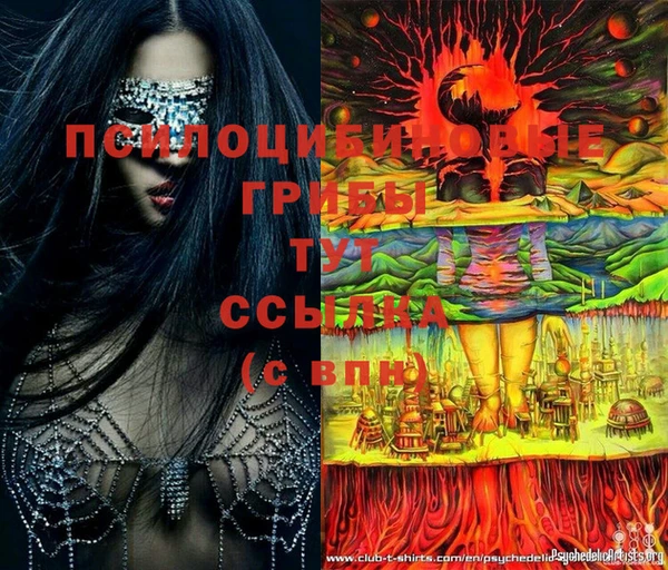 PSILOCYBIN Богданович