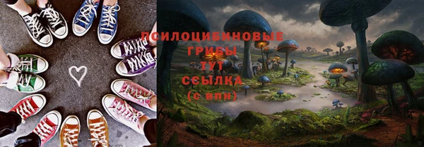 марки lsd Богородицк