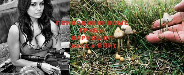 PSILOCYBIN Богданович