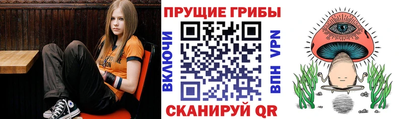 Галлюциногенные грибы GOLDEN TEACHER  наркота  mega сайт  Михайлов 