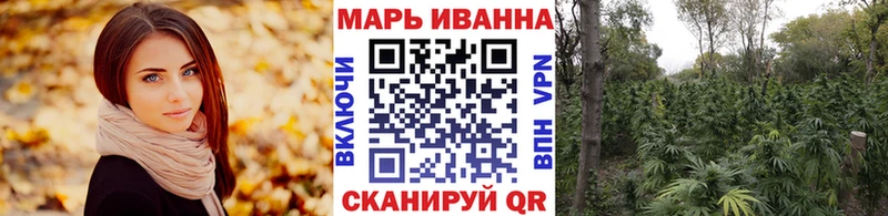 Шишки марихуана MAZAR  Михайлов 